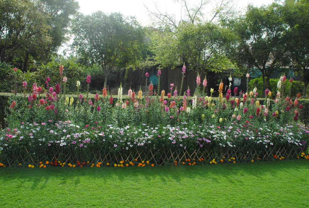 Maitreyi College Campus photo 6
