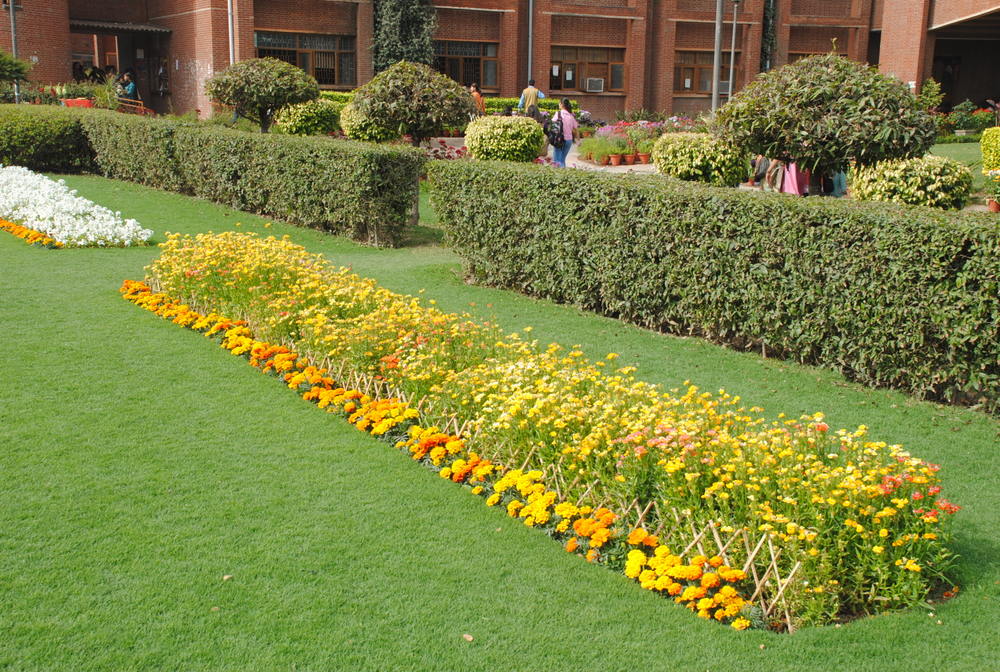 Maitreyi College Campus photo 8
