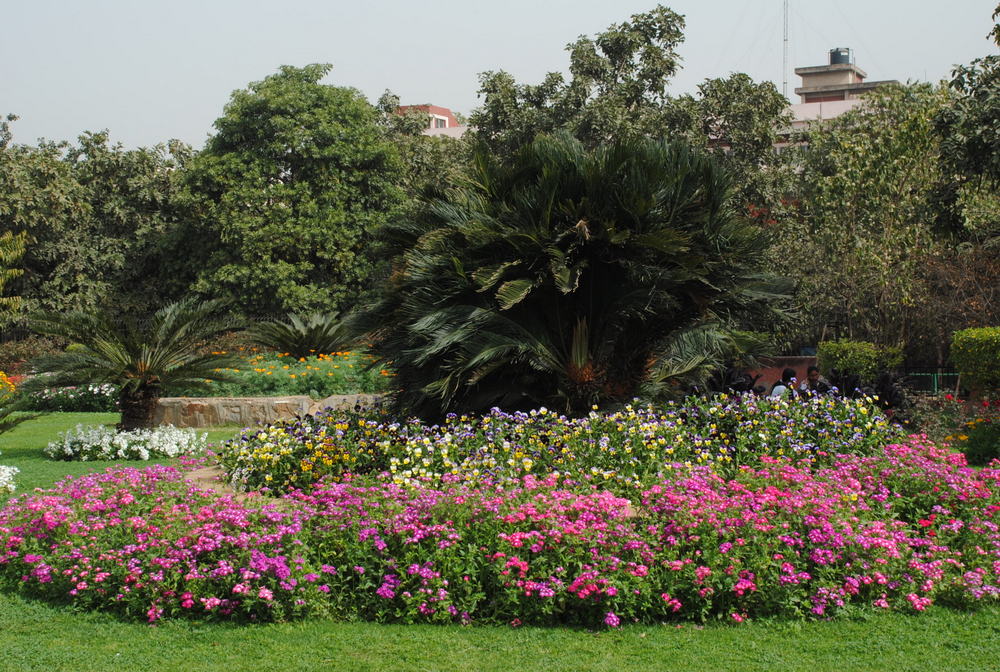 Maitreyi College Campus photo 10