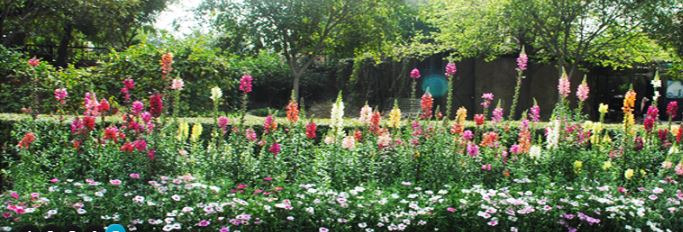 Maitreyi College Campus photo 13