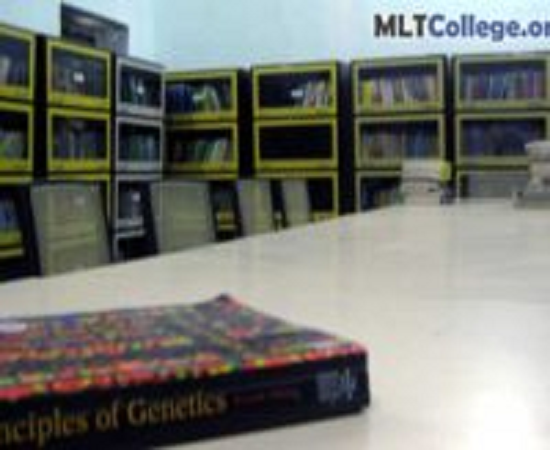 MLT College Saharsa Building & Infrastructure photo 10
