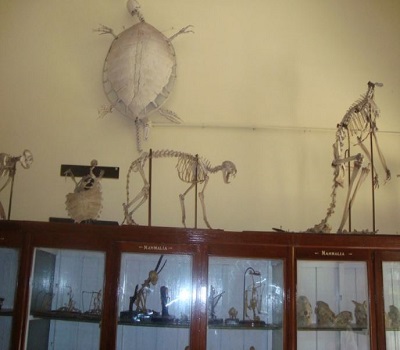 GNSCR Laboratory photo 12