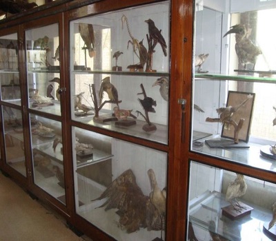 GNSCR Laboratory photo 14