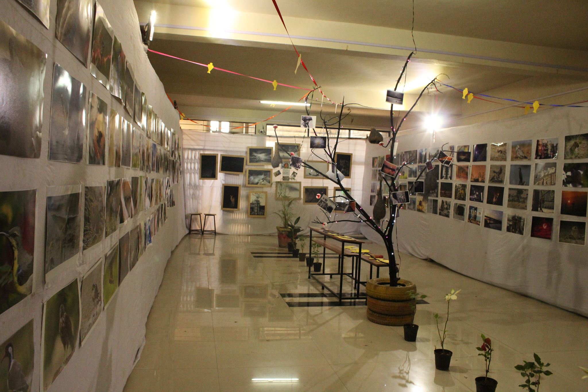 Vidhyadeep Institute of Engineering and Technology Surat Events photo 2