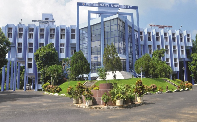 TANUVAS Academic Building photo 6