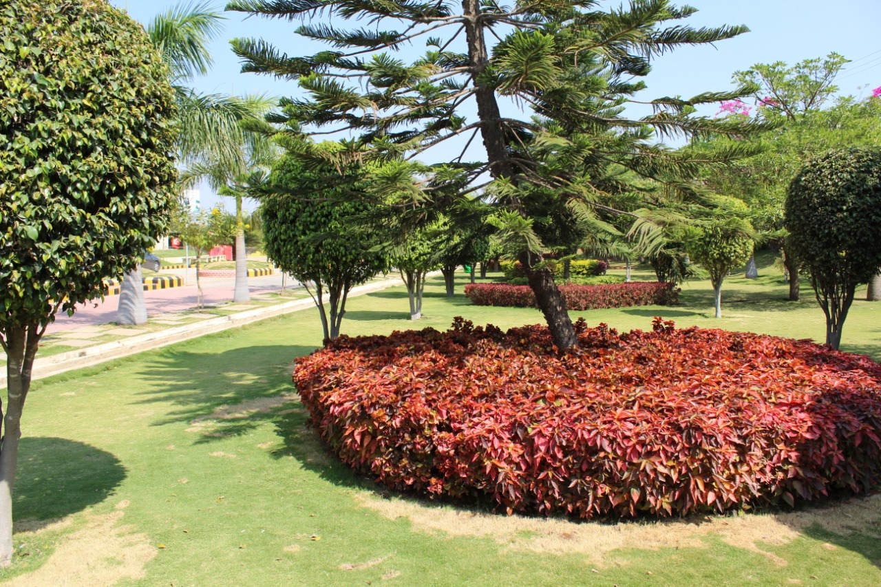 SPEC Hyderabad Campus photo 12
