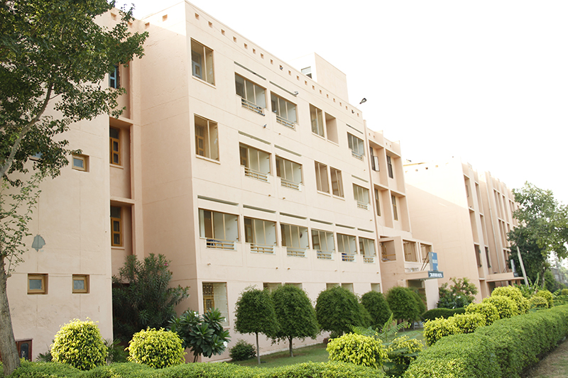 Apeejay Stya University, School of Engineering & Technology Gurgaon Campus & Facilities photo 1