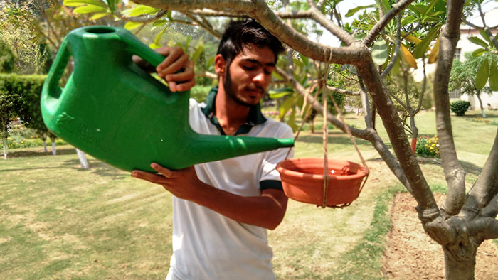 Apeejay Stya University, School of Management Sciences Gurgaon Events photo 11