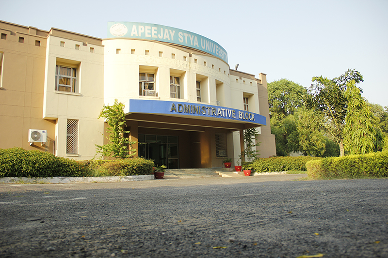 Apeejay Stya University, School of Management Sciences Gurgaon Campus & Facilities photo 3
