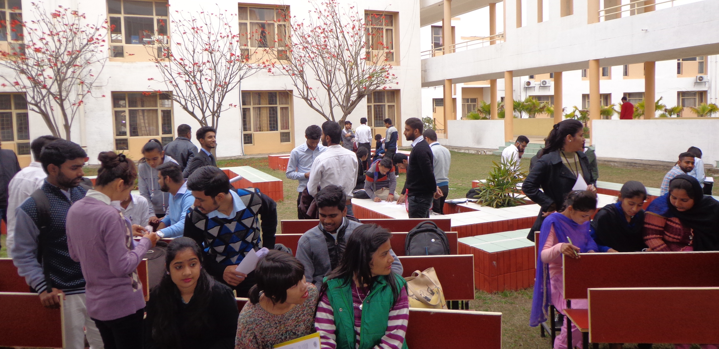 Indo Global College of Architecture Mohali Placements photo 1