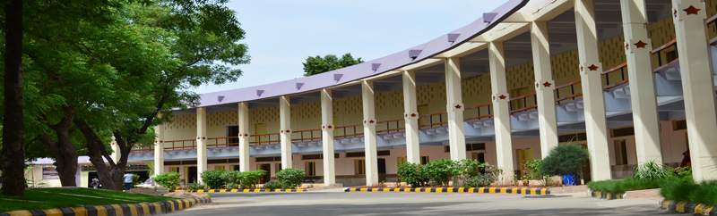 Arul Anandar College Madurai Campus photo 6