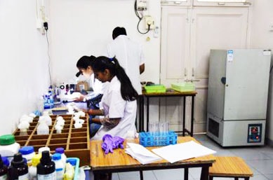 Dr Ambedkar College Nagpur Campus photo 8
