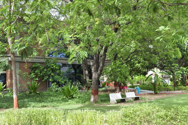 MICA Campus photo 3