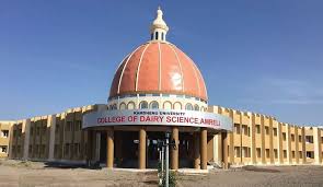 Kamdhenu University Gandhinagar Campus View photo 6