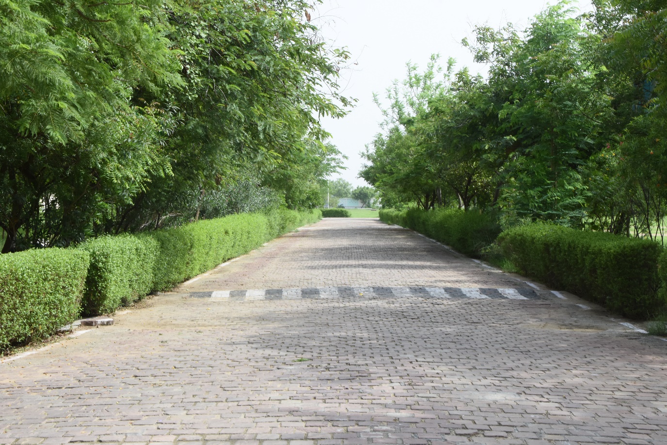 Dr. K.N. Modi University Newai Campus photo 15