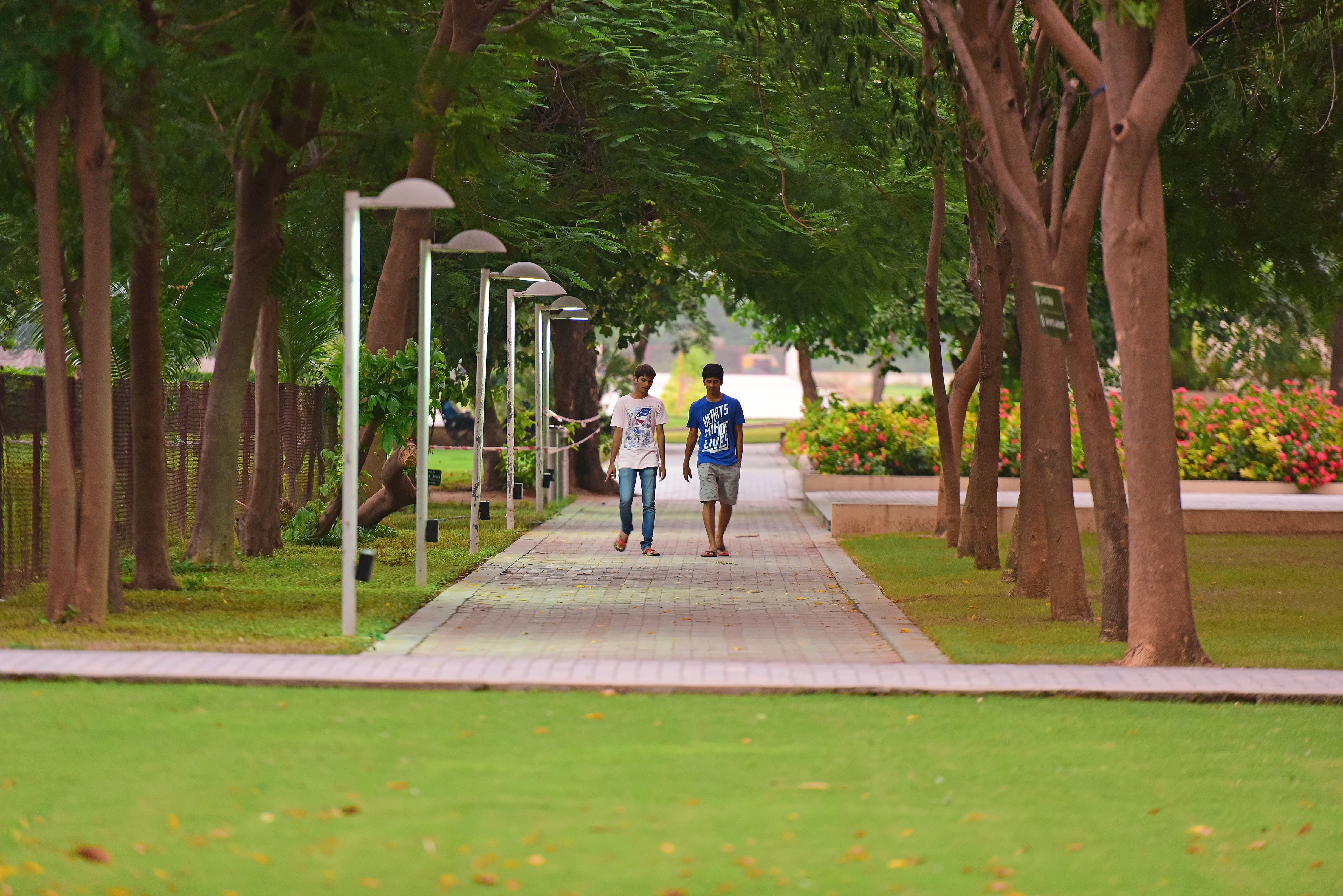 PDEU Campus photo 12