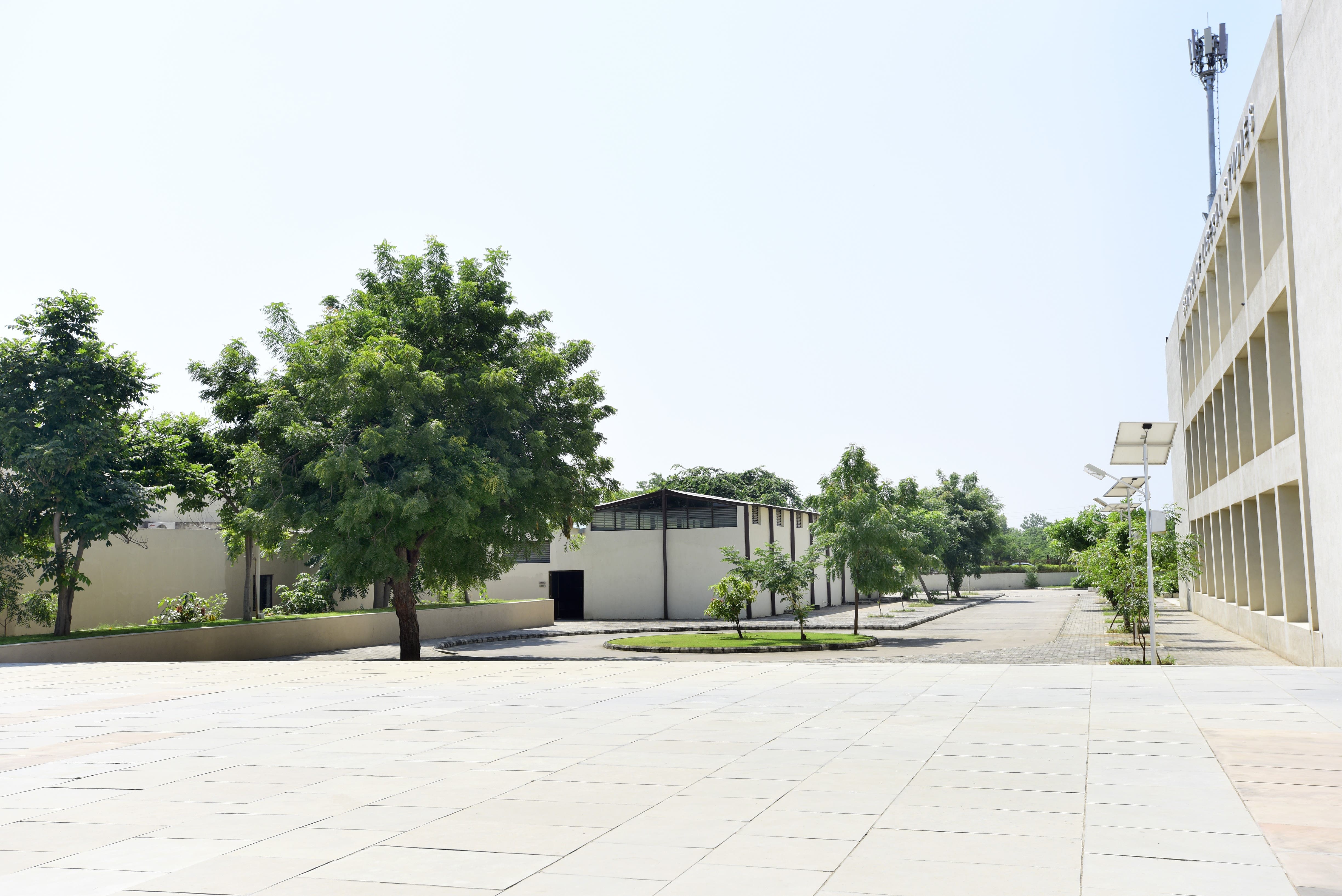 PDEU Campus photo 24