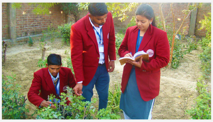 Dayanand Dinanath Group of Institutions Kanpur College Life photo 13