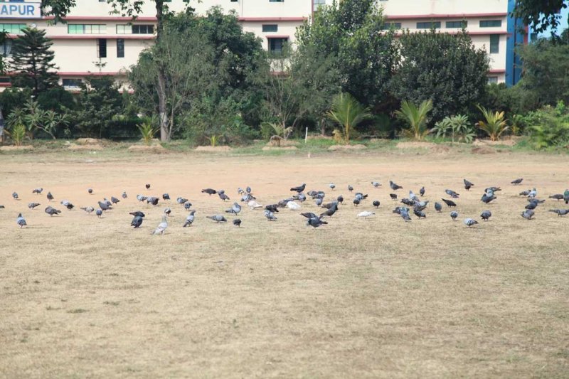 Paramedical College Durgapur Campus photo 10