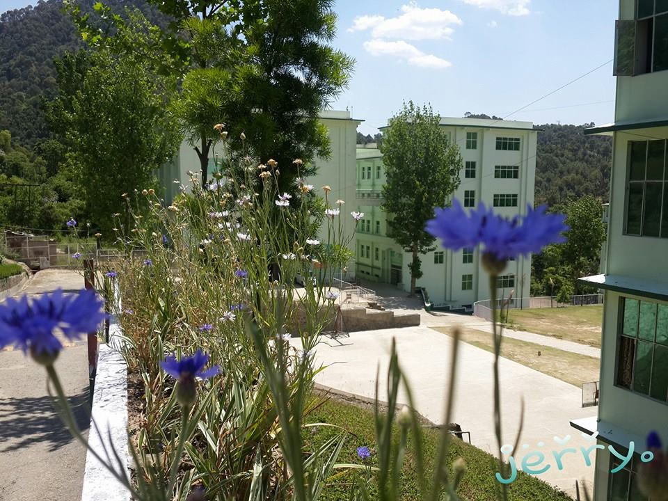 LR Group of Institutes Solan Infrastructure photo 7