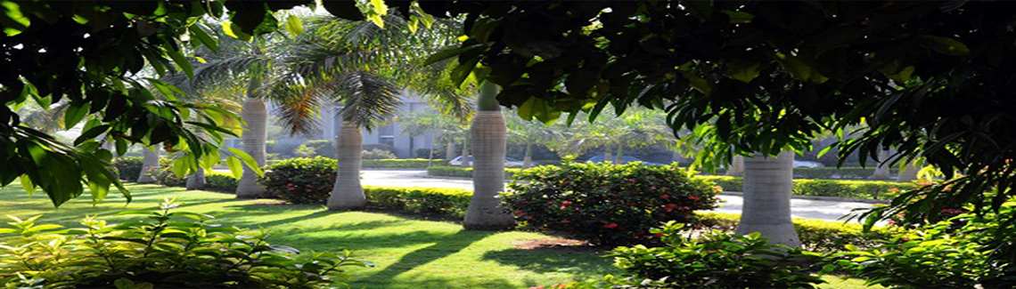 A. D. Patel Institute of Technology, CVM University Academic Building photo 8