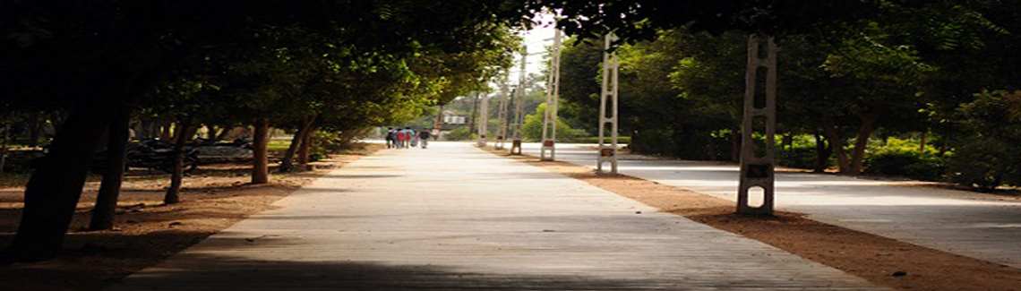 A. D. Patel Institute of Technology, CVM University Academic Building photo 10