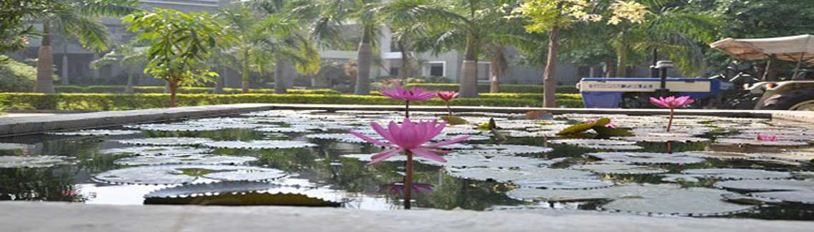 A. D. Patel Institute of Technology, CVM University Academic Building photo 15