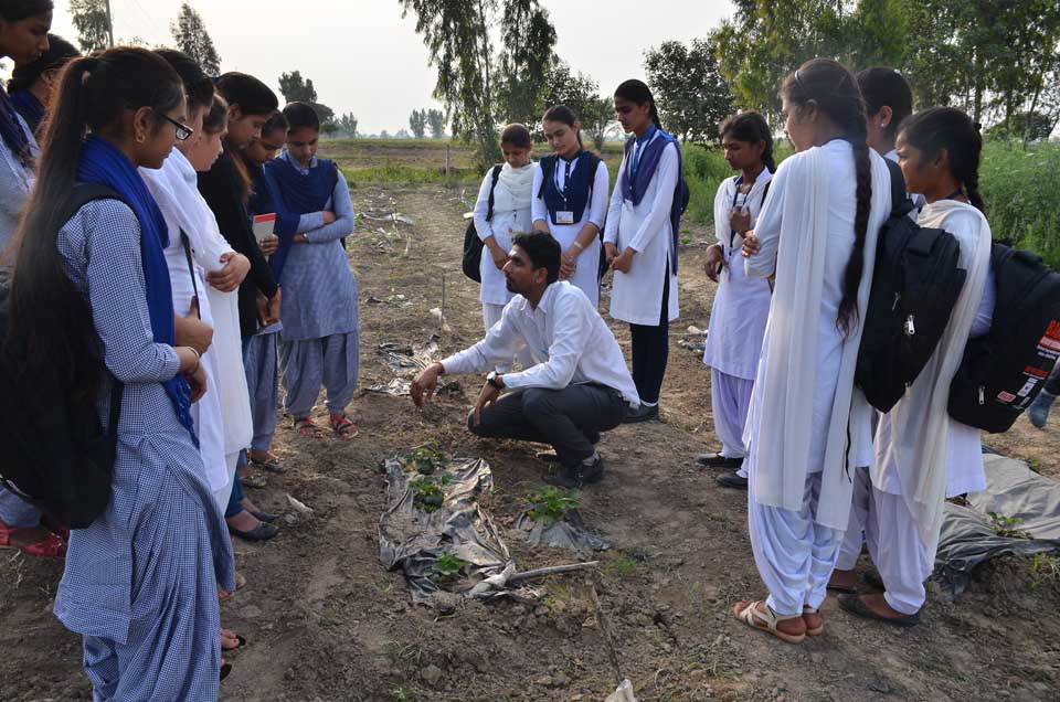 Baba Farid Group of Institutions Bathinda Events photo 4