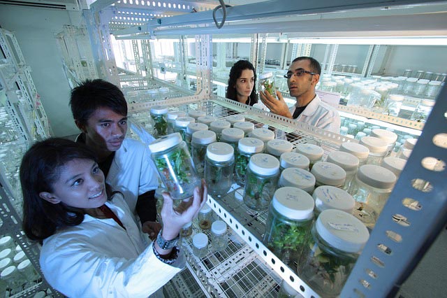 Chhatrapati Shivaji Institute of Pharmacy Durg Activities photo 7