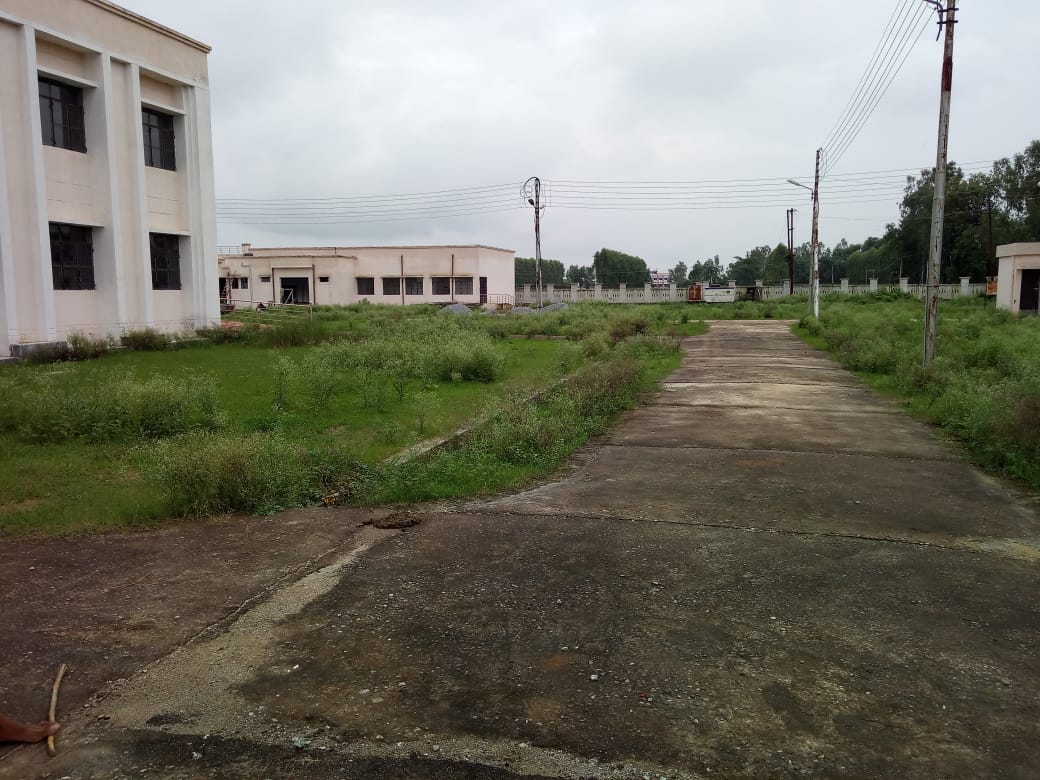 Government Polytechnic, Mohammadi Kheri Deoria College Ambience photo 2