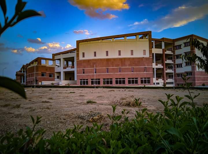 MNIT Jaipur Campus photo 25