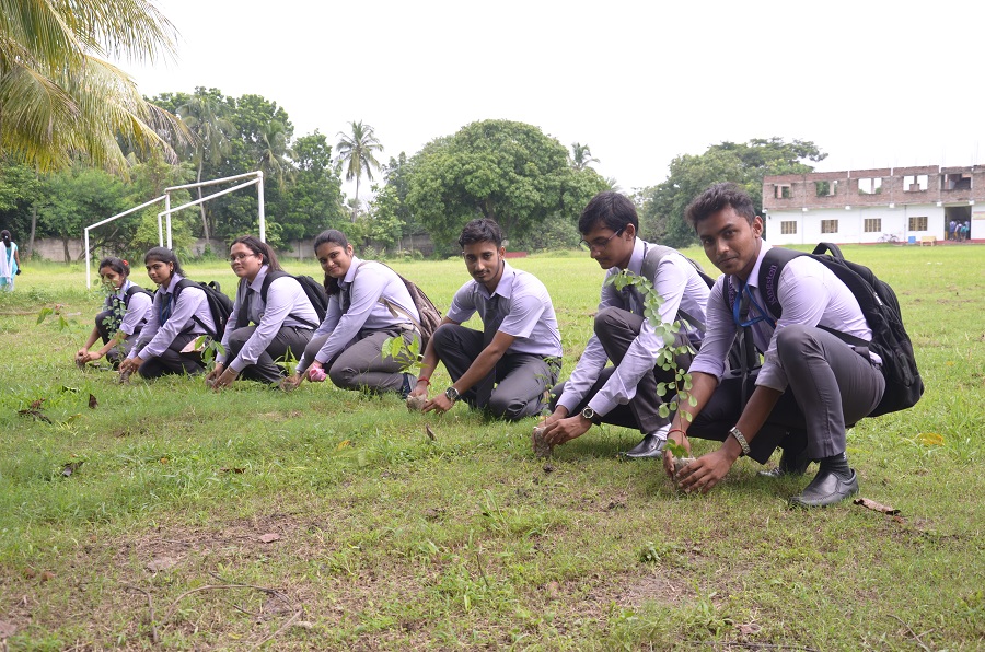 Kingston School of Management and Science Kolkata Tree Plantation photo 3