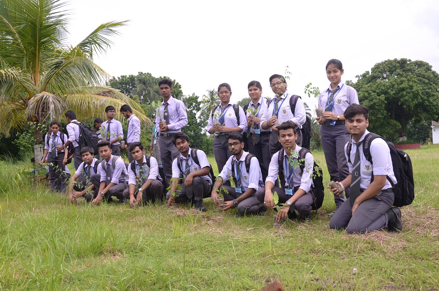 Kingston School of Management and Science Kolkata Tree Plantation photo 4