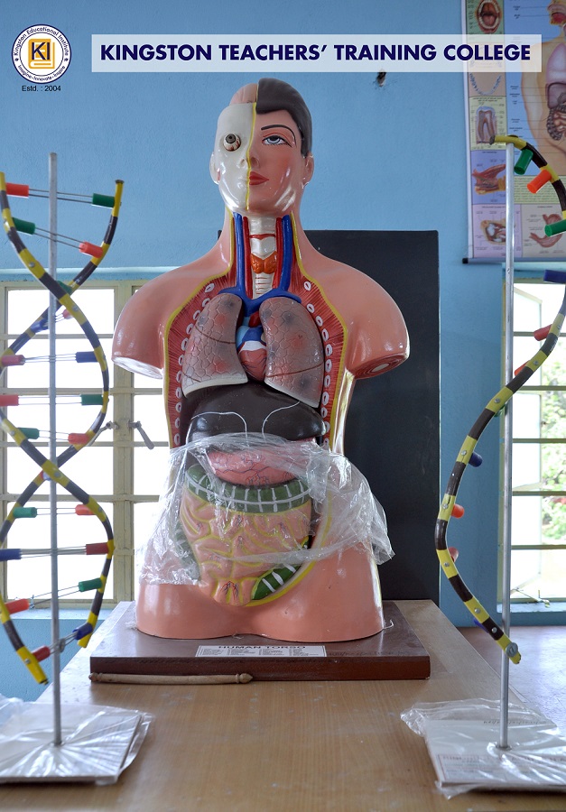 Kingston Educational Institute Kolkata Teacher's Training Lab photo 8