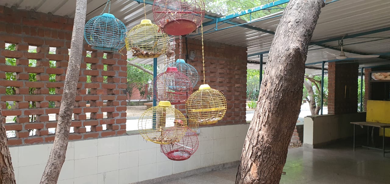 ITM SLS Baroda University, Vadodara College campus photo 15