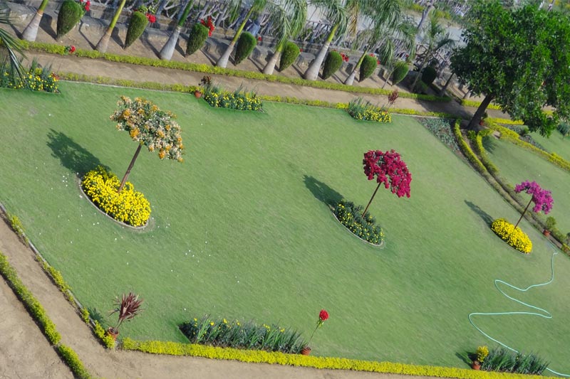 MITS Institute of Professional Studies Rayagada Campus photo 5