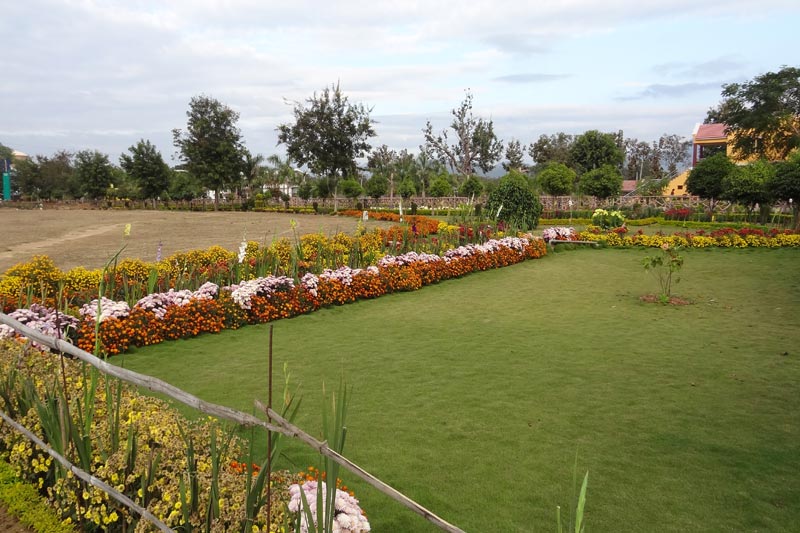 MITS Institute of Professional Studies Rayagada Campus photo 6