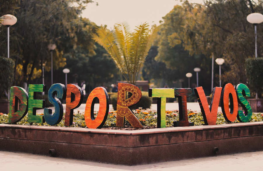 LNMIIT Sports photo 21