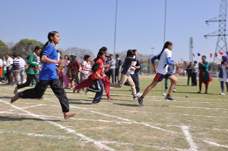 Jan Nayak Ch. Devi Lal Dental College Sirsa Sports photo 11