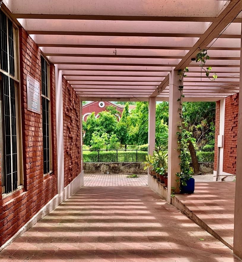 Sarvajanik University Campus photo 16