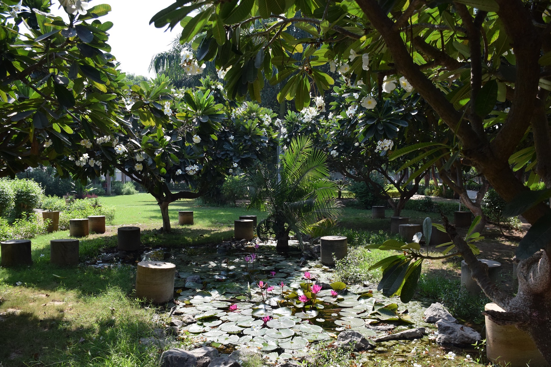 CVM University Anand Campus photo 22
