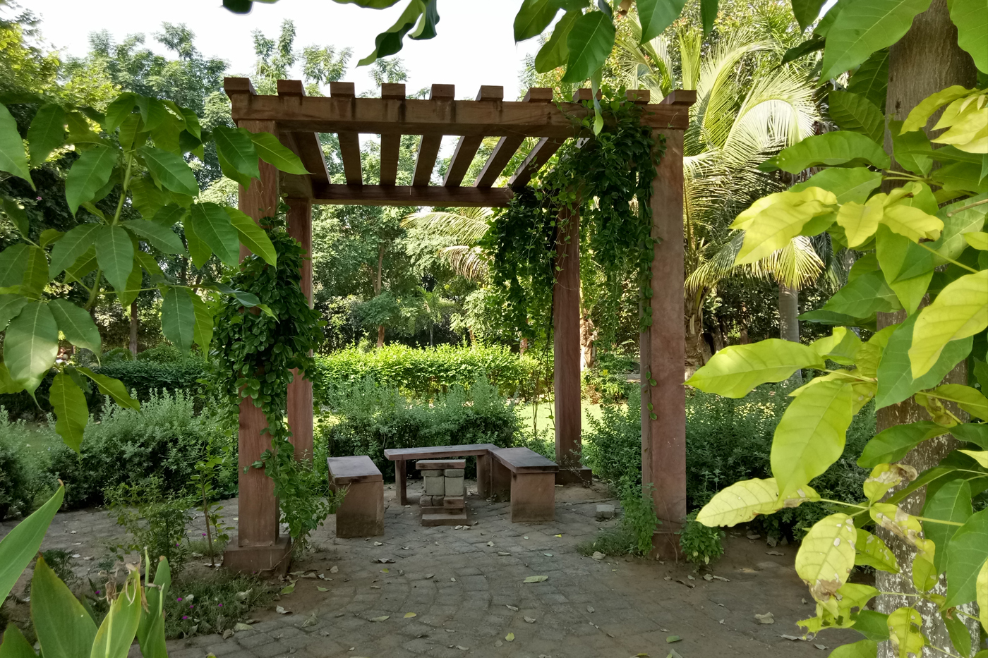 CVM University Anand Campus photo 27