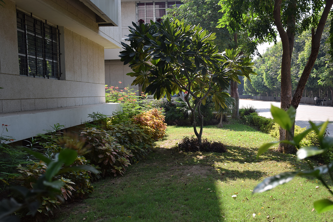 CVM University Anand Campus photo 29