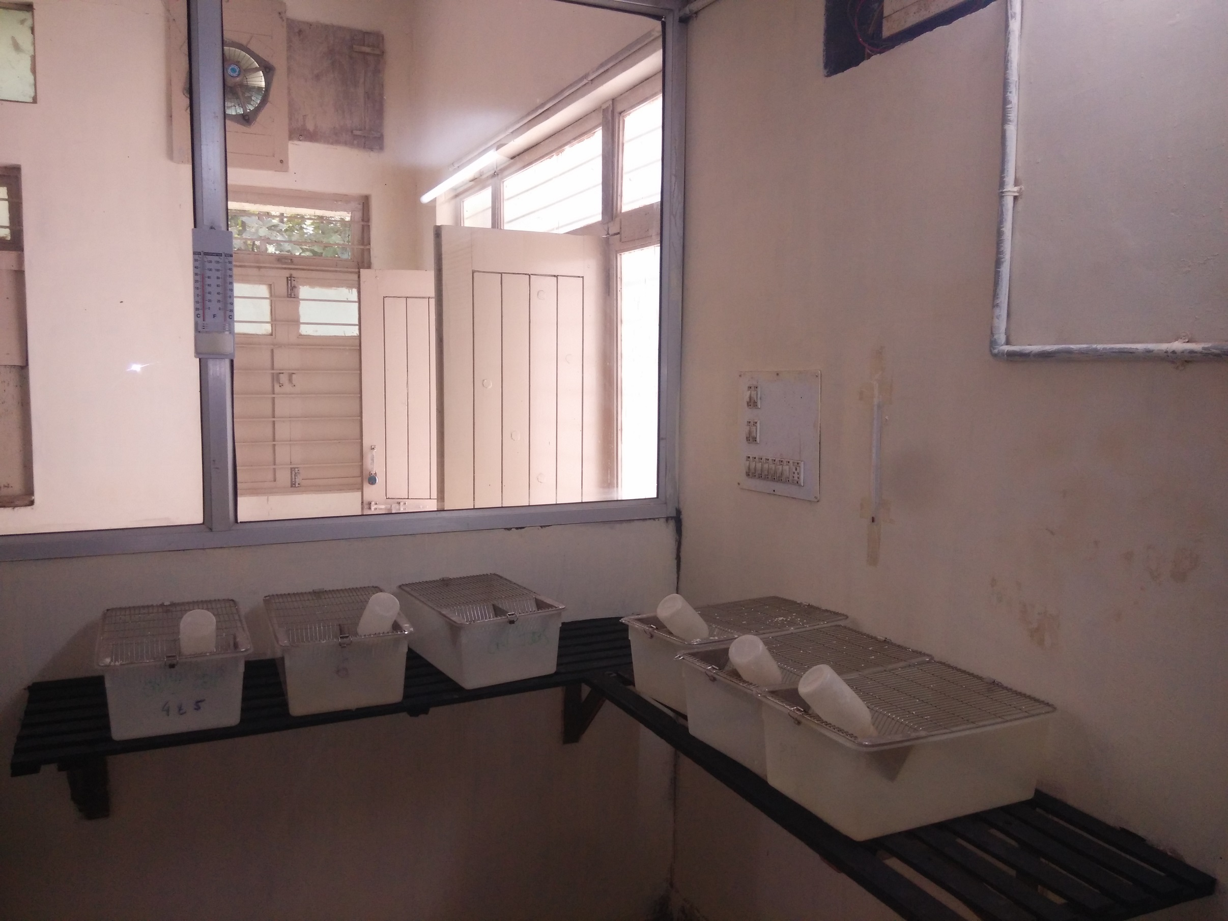 CVM University Anand Campus photo 98