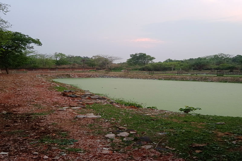 Guru Gobind Singh Educational Society's Technical Campus Bokaro Infrastructure photo 16