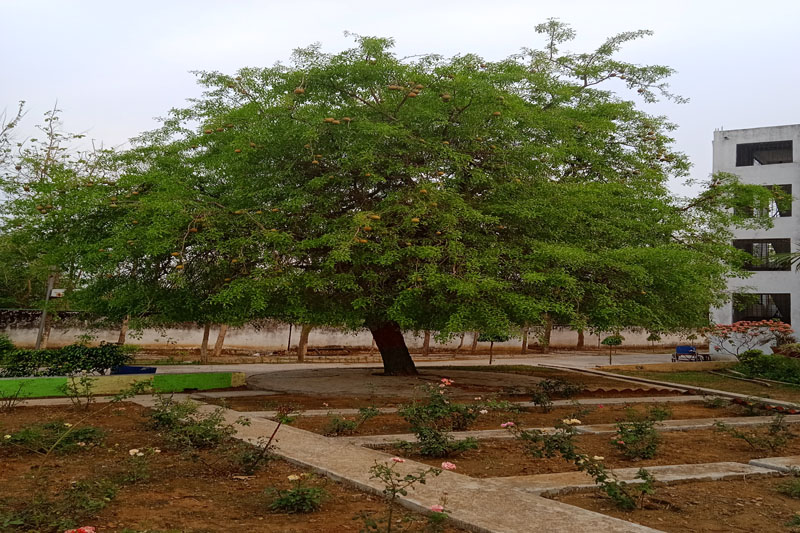 Guru Gobind Singh Educational Society's Technical Campus Bokaro Infrastructure photo 17