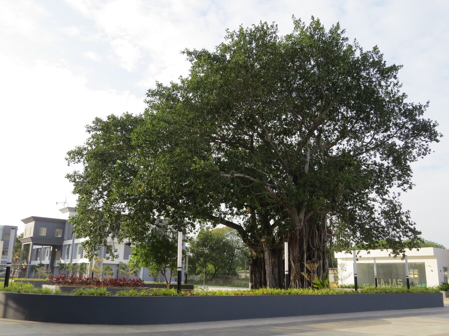Joy University Tirunelveli Infrastructure photo 9