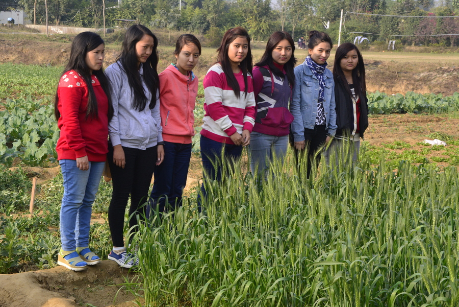 Phonics University Campus & Activities photo 1