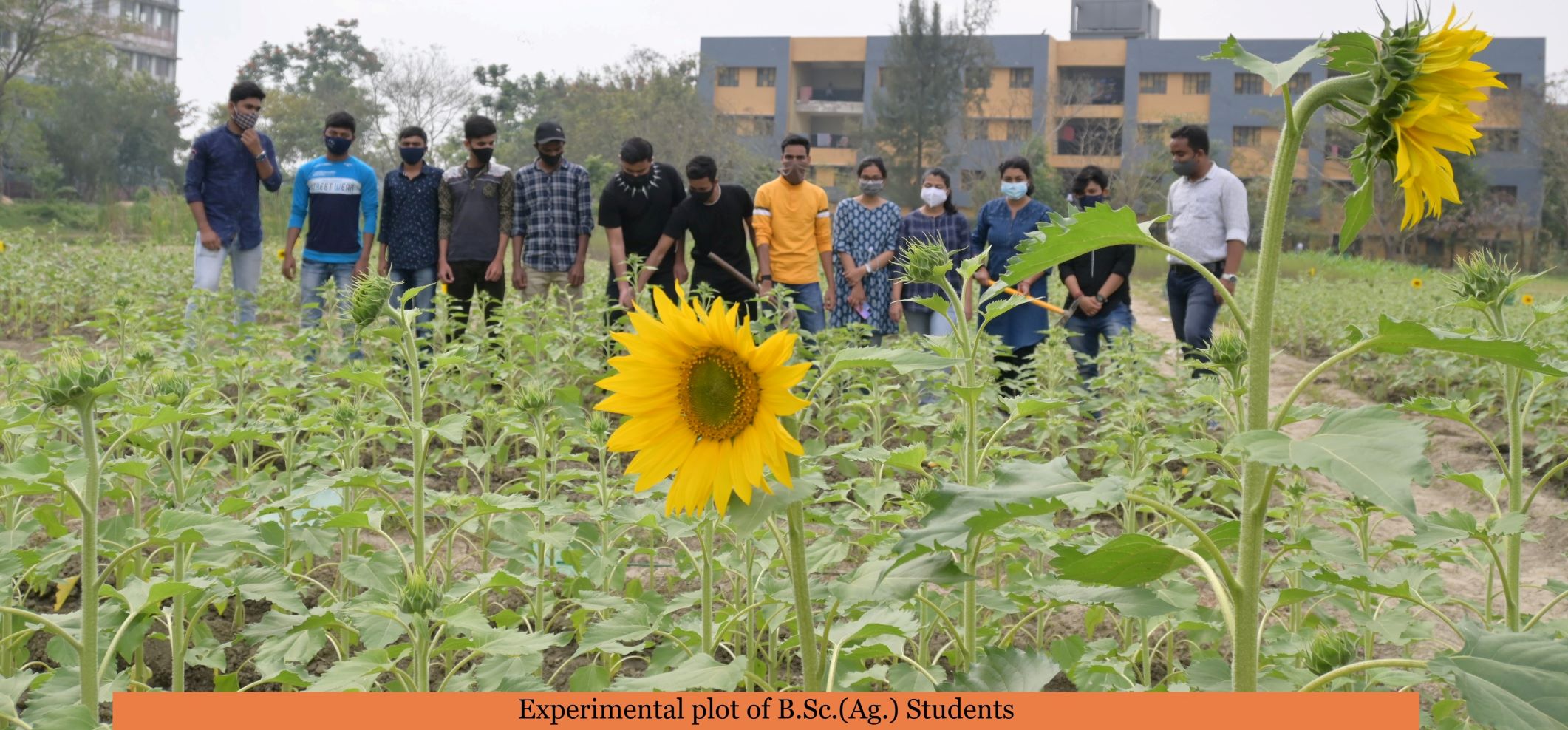 TNU Infrastructure photo 28