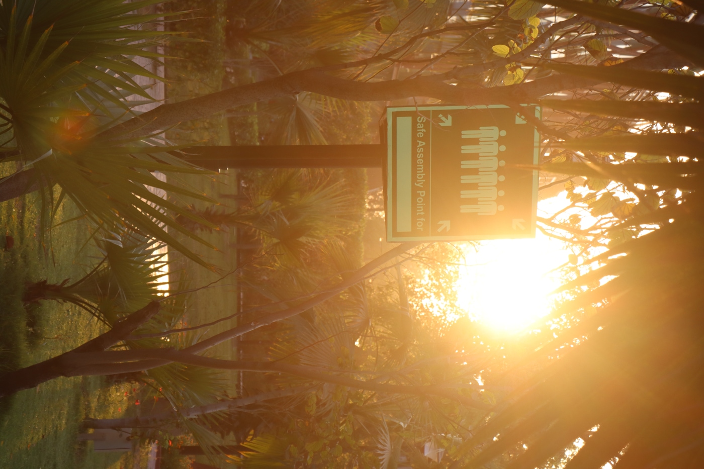 O.P. Jindal Global University Campus photo 164